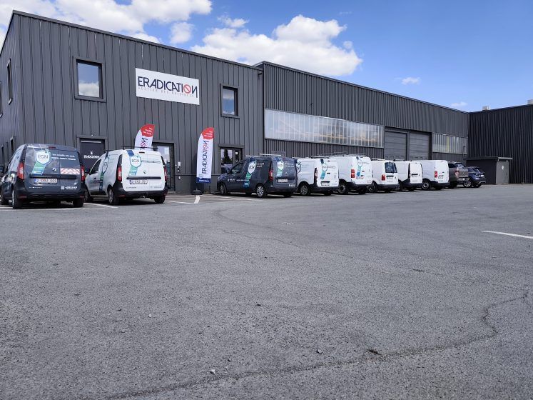 ERADICATION srl expert en gestion des nuisibles partout en belgique
